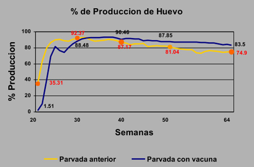 % de Produccion de Huevo