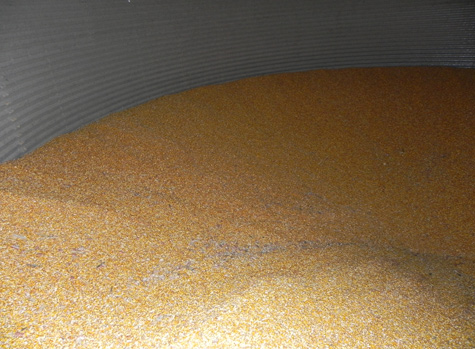 Los granos en los silos se deben mantener secos y bien ventilados