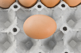 control de salmonela en produccion de huevo, el sitio avicola