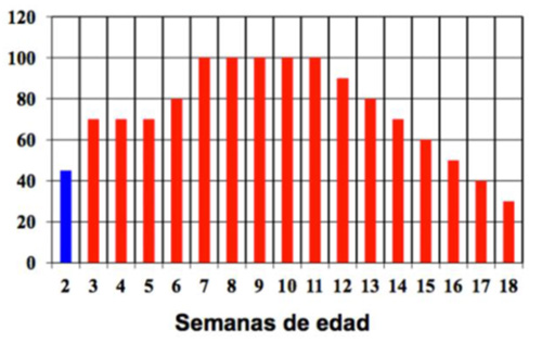 ganancia de peso en reproductoras, Hyline, Hy-ine, El Sitio Avicola