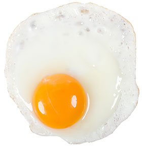 dia mundial del huevo, nutricion en huevos, el sitio avicola, chris wright
