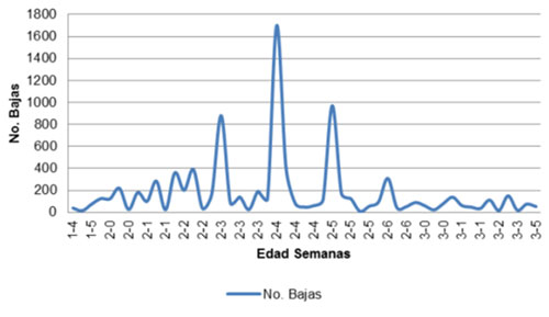 pollitas de postura nutricion, el sitio avicola, chris wright