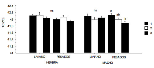 estres calorico en pollo, alimentos balanceados para pollos, el sitio avicola
