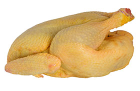 pigmentacion de pollo de engorde, el sitio avicola