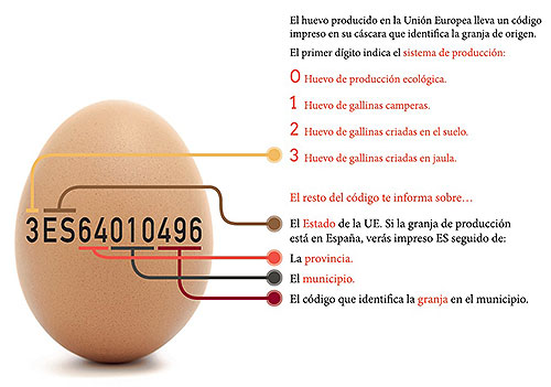 El huevo, de etiqueta, el sitio avicola