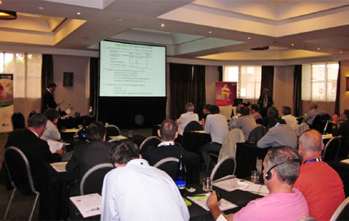 DSM conferencia en Madrid, el sitio avicola