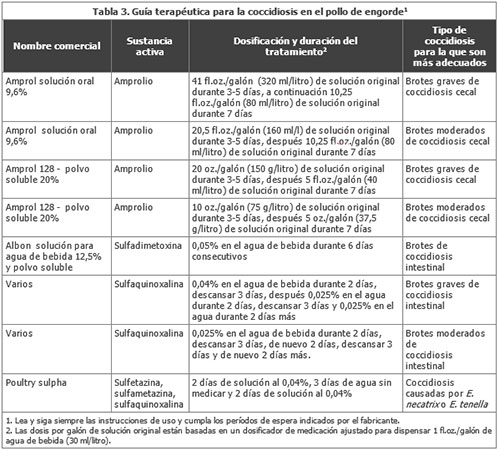 -el-sitio-avicola--coccidiosis,pollo de engorde--Dr.-Hector-Cervantes