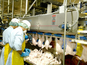 procesamiento de pollo, El Sitio Avícola