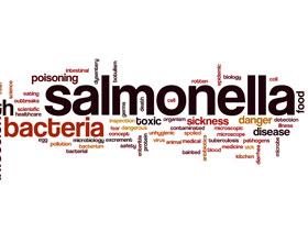 salmonella enteritidis ElSitioAvicola