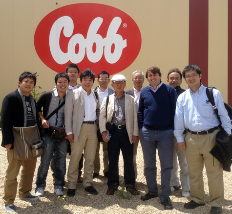 Cobb, planta de incubacion y procesamiento, el sitio avicola, avicultura