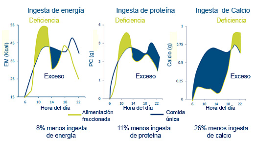 Nutreco, calidad de huevo y alimentacion, elsitioavicola, chris wright, editor