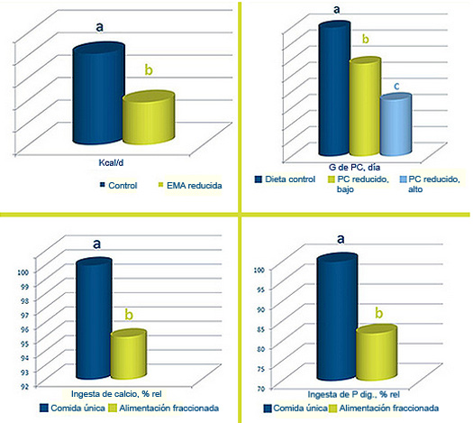 alimentacion fraccionada, nutrientes, dieta para pollos, nutreco, el sitio avicola