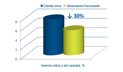 alimentacion de pollo, comida unica o alimentacion fraccionada, el sitio avicola, nutreco