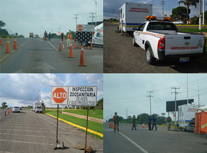 haga clic en la figura para ampliar