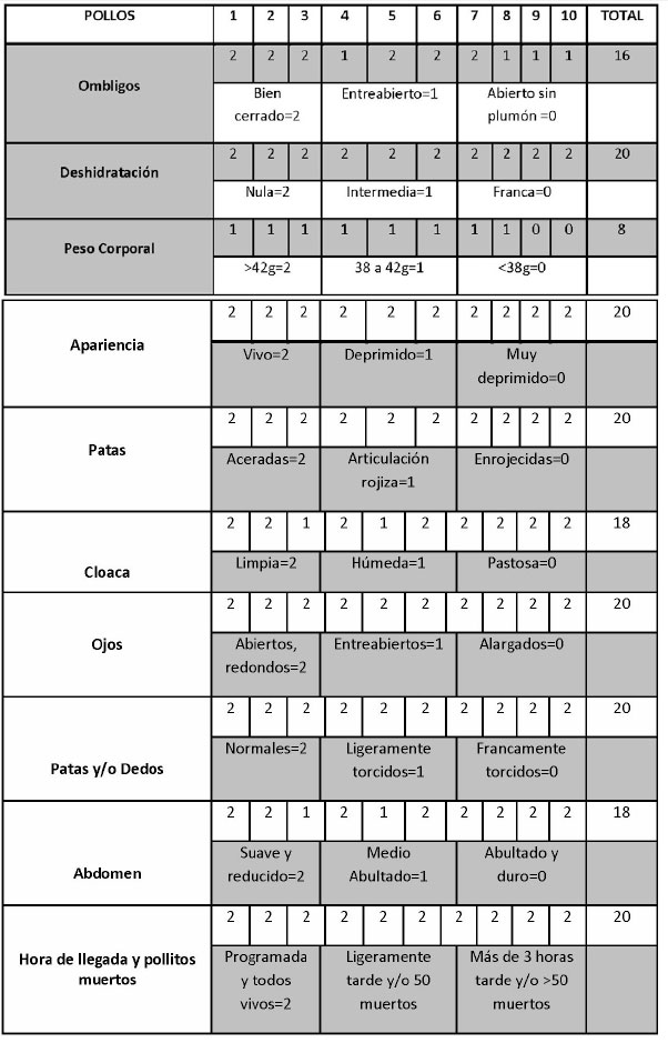 haga clic en la figura para ampliar