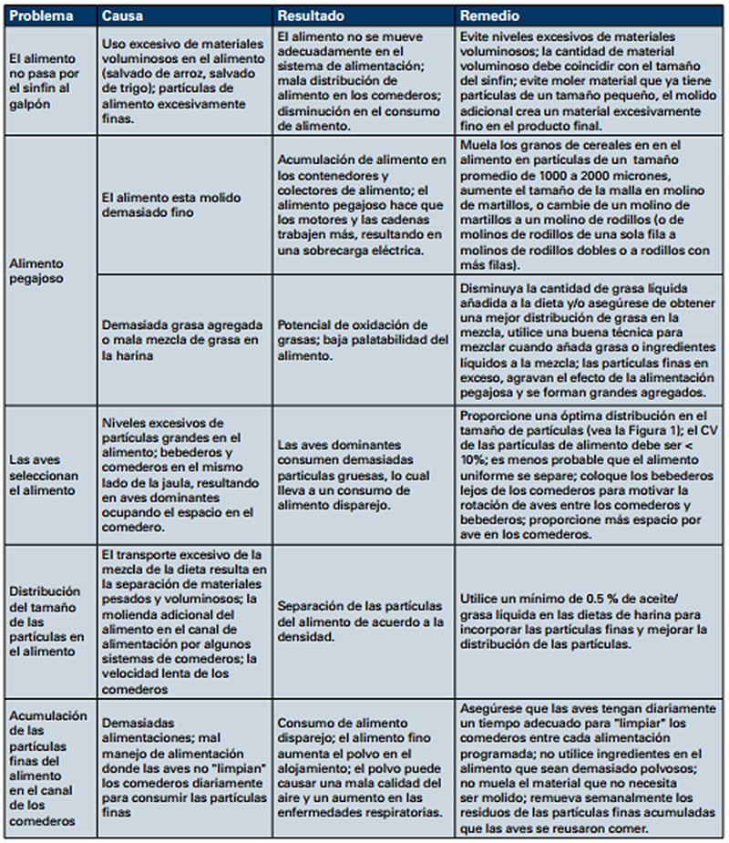haga clic en la figura para ampliar
