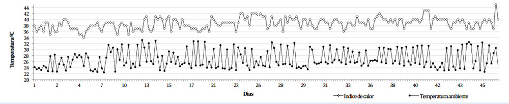 haga clic en la figura para ampliar