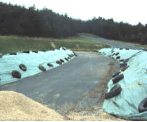 Hileras de mortalidad en composta cubiertas con un cobertor impermeable