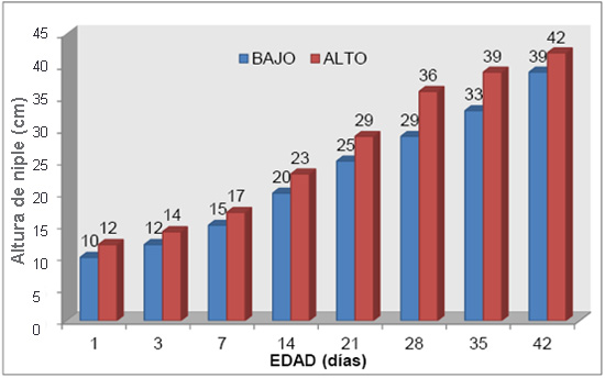 Altura del niple (cm) a diferentes edades