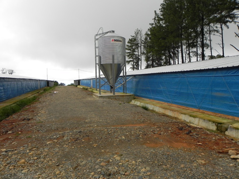 En las casetas de túnel, las cortinas requieren cuidado especial