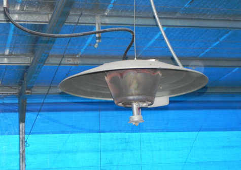 Las criadoras no funcionarán bien si hay mala presión de gas