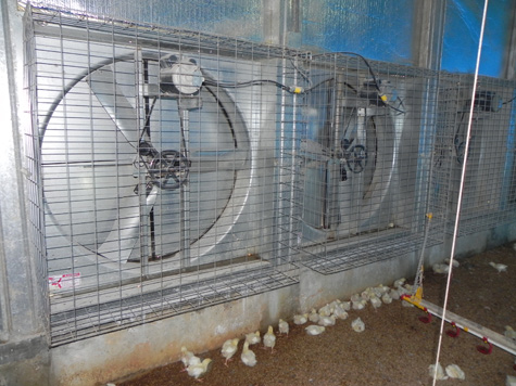 Los ventiladores de túnel que no se utilizan se deben cubrir durante el invierno para evitar fugas de aire