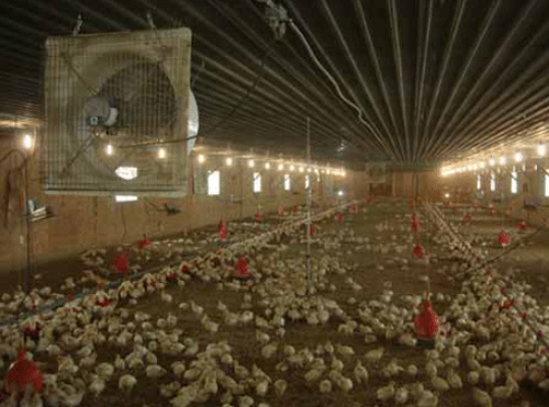 Figura 4. Sistema de ventilador de circulación