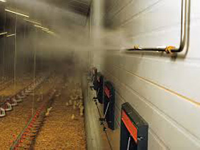 nebulizadores en casetas avicolas, enfriamiento en casetas avicolas 