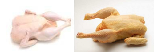 Pollo blanco (izq)      Pollo de corral(der)