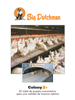 Big Dutchman PDF Download
