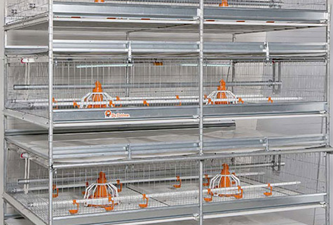AviMax Sliding: esta jaula de broilers permite mucha flexibilidad al sacar el pollo 