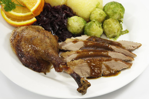 musculo de gansos, el sitio avicola