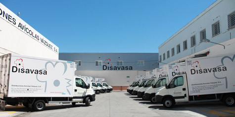 Disavasa, avicultura espanol, procesadora de pollo, el sitio avicola