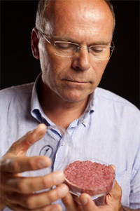 Mark Post, el sitio avicola, carne cultivada