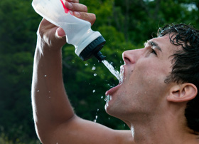 salud, alimentacion para salud, el sitio avicola