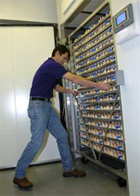  incubacion de huevo, el  sitio avicola, chris wright