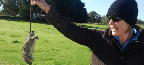 control de roederes, el sitio avicola, chris wright