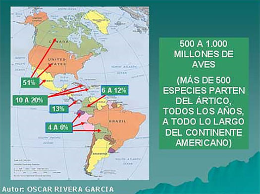 gripe aviar, influenza aviar, el sitio avicola, chris wright