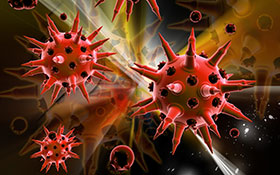 influenza aviar, el sitio avicola, chris wrigh