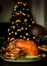  produccion de pavos en mexico