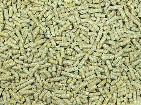 DDGS afecta calidad de pelet, el sitio avicola, chris wright