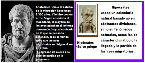 aves silvestres y gripe aviar, el sitio avicola