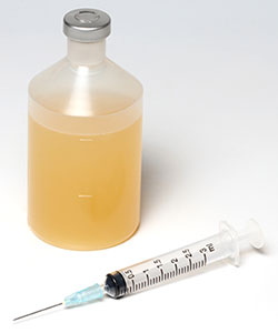 vacunacion de gallinas, el sitio avicola,chris wright