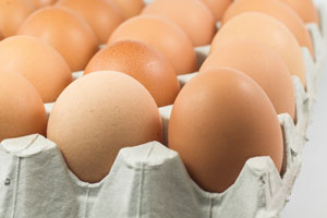  industria de huevo en el mundo, elsitioavicola, chris wright