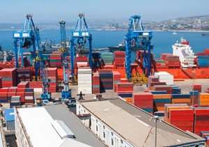 chile exportacion de pollo, importacion de pollo en chile, el sitio avicola, chris wright