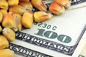 sector avicola en centroamerica y caribe, el sitio avicola, chris wright, dr. alberto ramirez