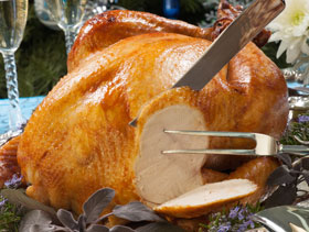 produccion de carne de aves in chile