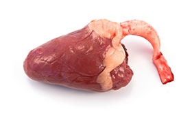  componente genetico en SA en pollo de engorda