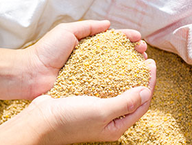  alimentos balanceados para pollos y bioseguridad