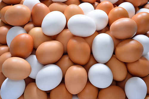 dia mundial del huevo, huevos en la dieta, el sitio avicola, chris wright